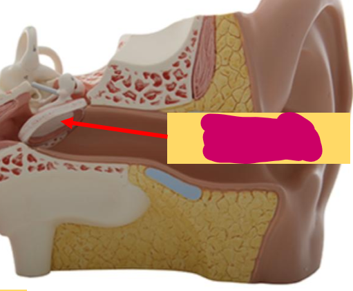 <p>What is this part?</p>