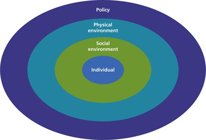 <p>Socio Ecological Model</p>