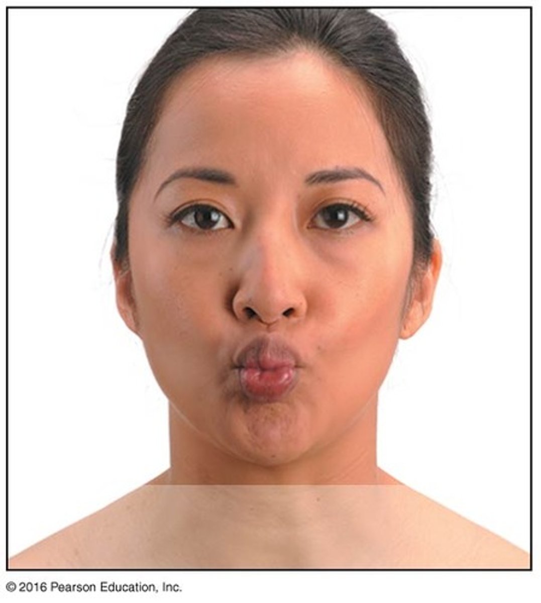 <p>puckers lips; kissing</p>