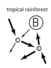 a model of nutrient storage and flow for terrestrial ecosystems. The amount of nutrients in each compartment is indicated by the size of the circle and the flow rates are indicated by the size of the arrows. B is biomass, L is litter, S is soil.