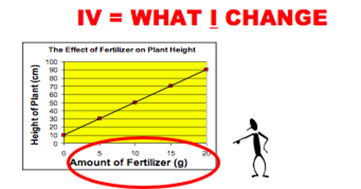 <p>The experimental factor that is manipulated; the variable whose effect is being studied. Can only have 1 IV in experiment. Graphed on the x-axis.</p>