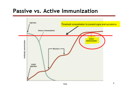 <p>Red line: Threshhold concentration to prevent signs and symptoms</p><p>Active Immmunization: Starts from the bottom of the graph and goes up</p><p>Passive: Dramatically goes down </p><p></p>