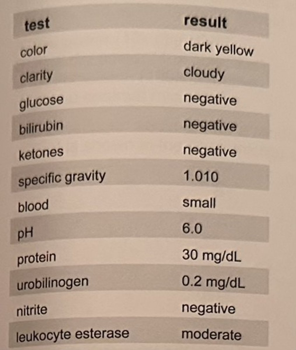 <p>A patient seen at an urgent care facility for lower back pain and a fever has the urinalysis shown in the table.</p><p>Microscopic examination shows the presence of 15-20 RBC/HPF, 30-40 WBC/HPF, 3+ bacteria, and 2-3 renal tubular epithelial cells/HPF.</p><p></p><p>The discrepancy between the "negative" result for nitrite on the reagent test strip and the presence of bacteria on microscopy may be best explained by:</p><p>a. failure to mix the specimen before centrifuging</p><p>b. failure to test the sample within 1 hour of collection</p><p>c. presence of an oxidizing detergent in the specimen container</p><p>d. the presence of a non-nitrate-reducing organism</p>