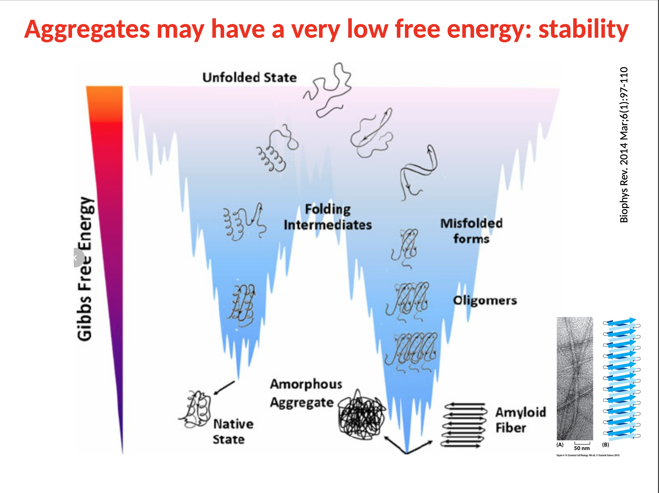 <p>more stable </p>