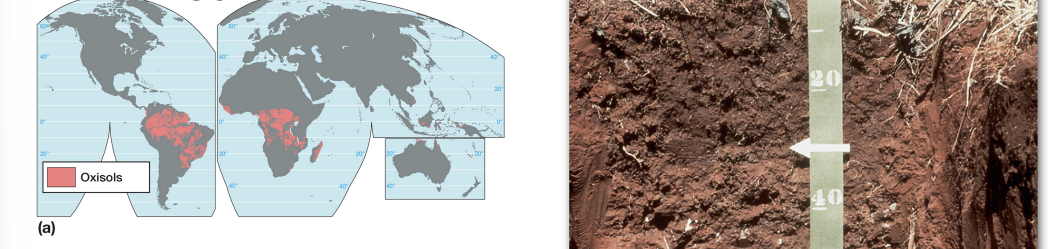 <p><strong>oxisol characteristics</strong></p>