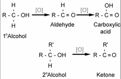 <p>-Primary Alcohol Forms an aldehyde by Pyridinium Chlorochromate (PCC)</p><ul><li><p>Primary Alcohol is oxidized to a carboxylic acid by CrO3 (Jones Oxidation)</p></li></ul>