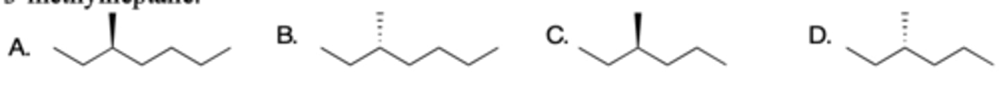 <p>B</p>