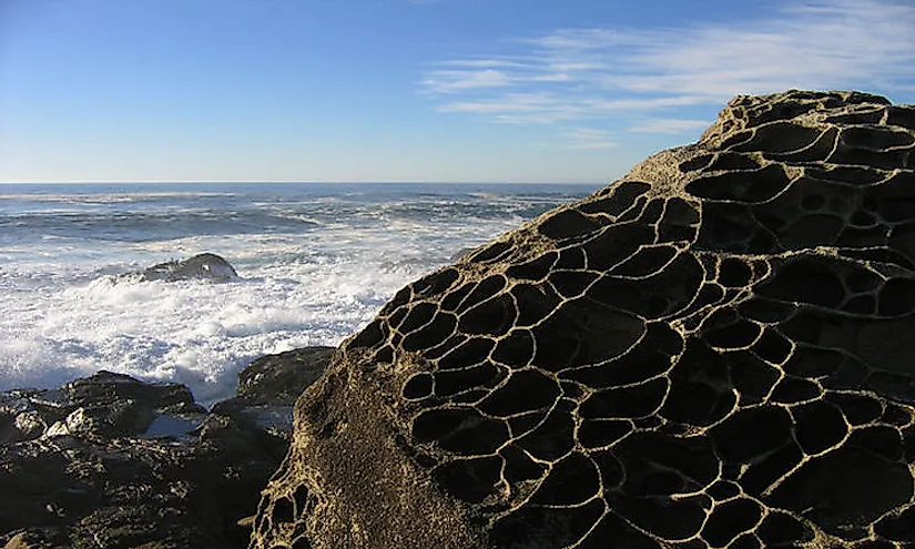 What type of salt crystal growth weathering has

* Natural rock cavities are often found in the arid environment or coastal areas 
* Various mechanisms of formation, but salt heaving is a common mechanism