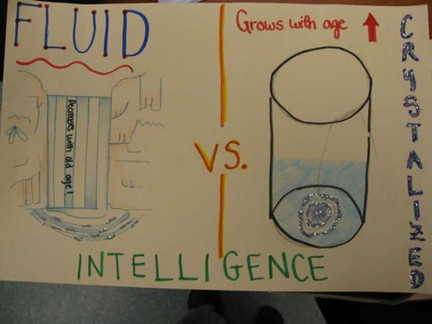 <p>reasoning ability and the use of new information for learning and problem solving</p>