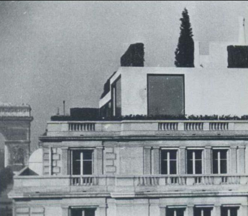 term image