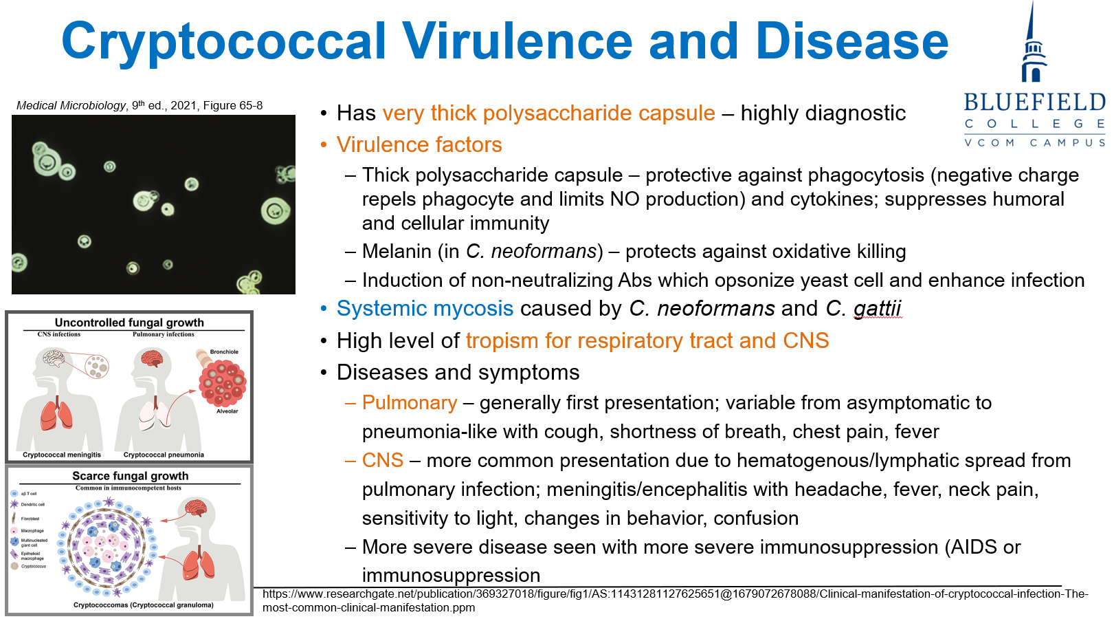 <p>D. Headache, neck stiffness, and photophobia<br></p><p>Disseminated <em>Cryptococcus</em> often infects the <strong>CNS</strong>, causing <strong>meningitis</strong>.</p>