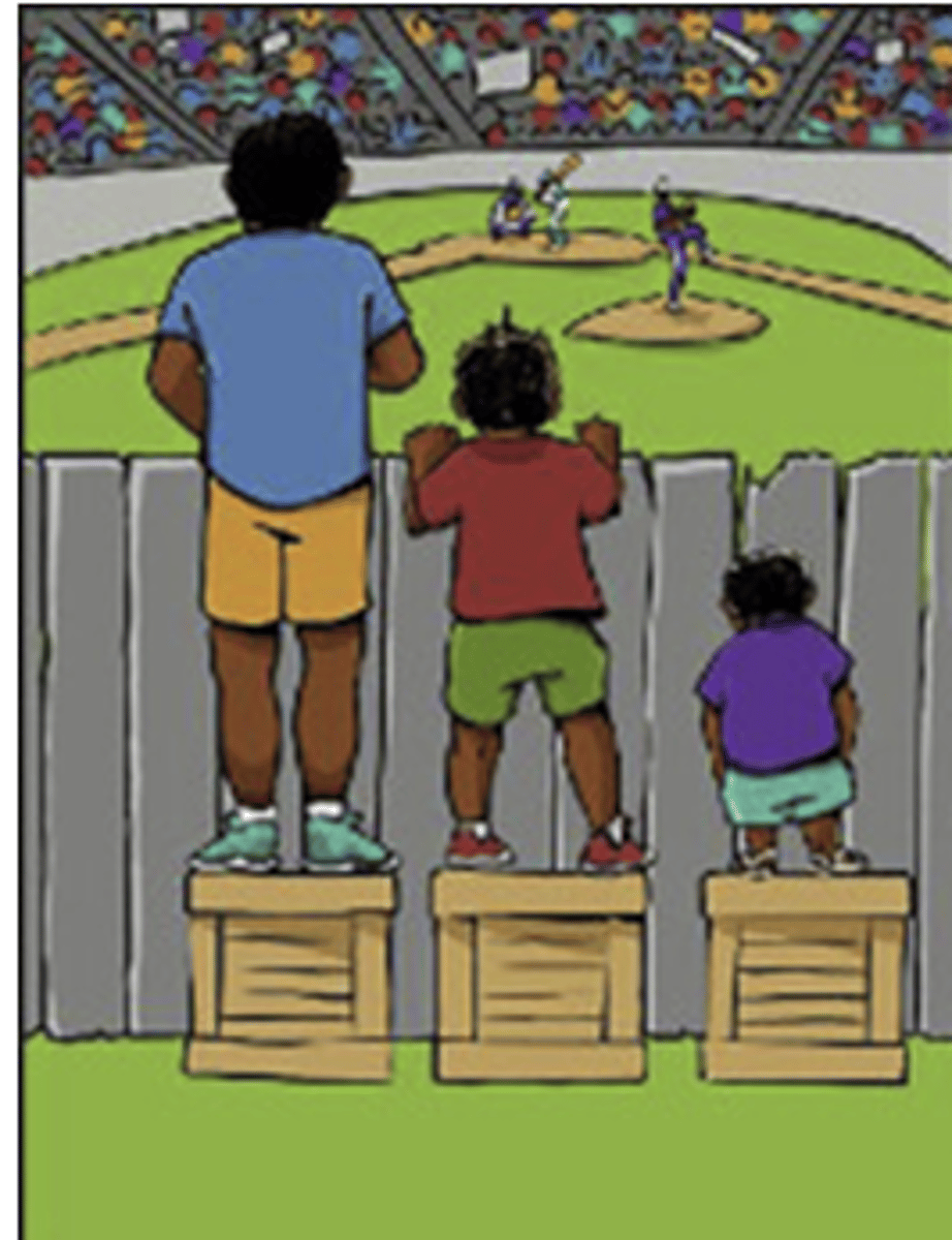 <p>What does this image show: equality, equity, or social justice?</p>