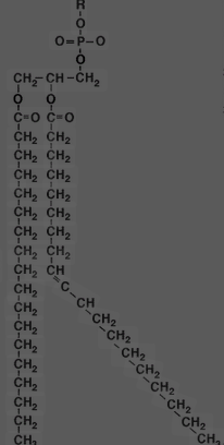 <p>I identify this structure</p>