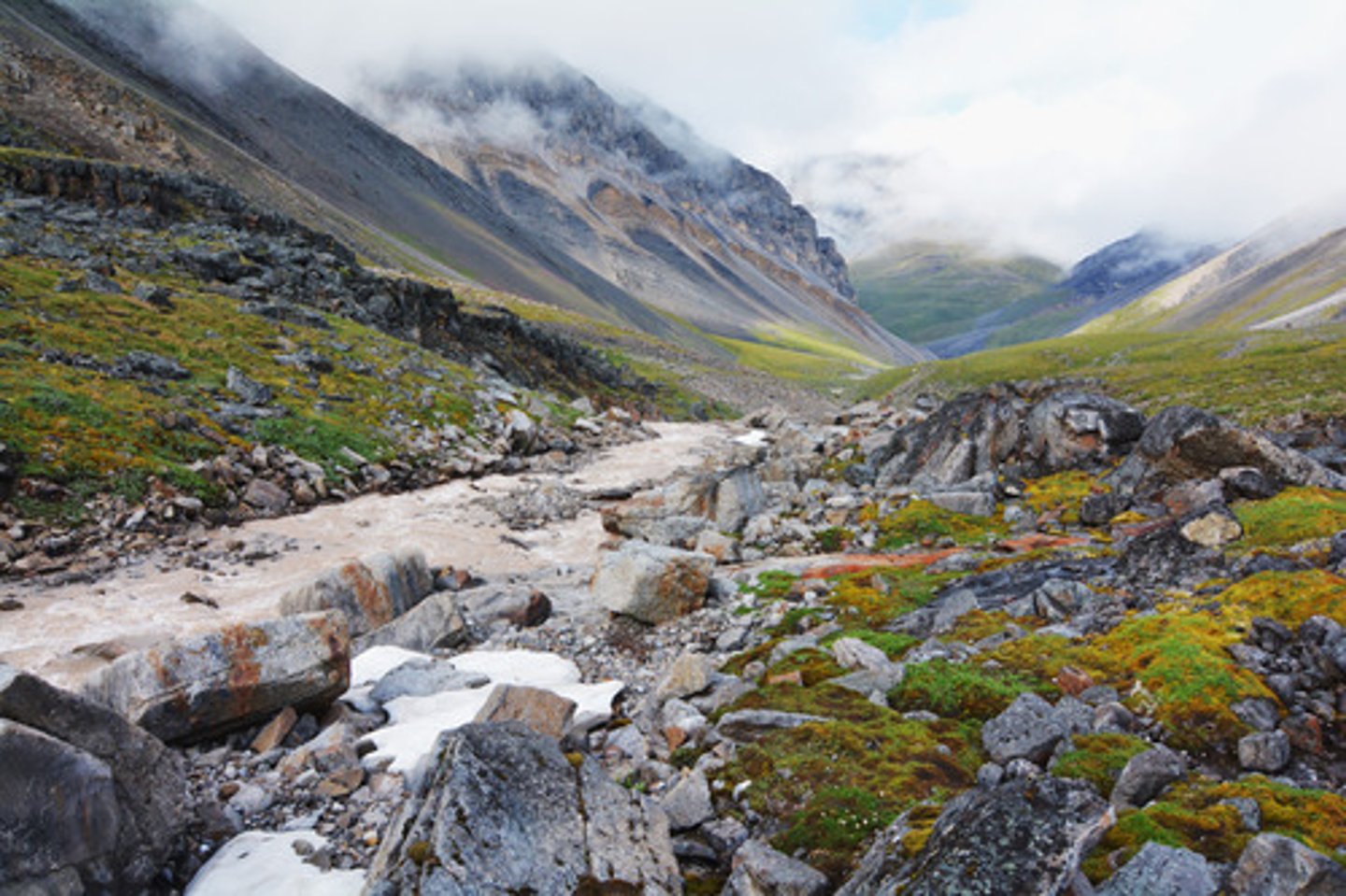 <p>Alaska</p>