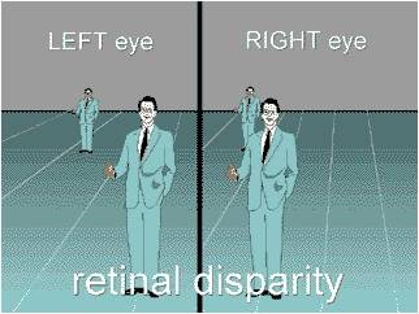 <p>clues about distance based on the differing views of the two eyes</p>