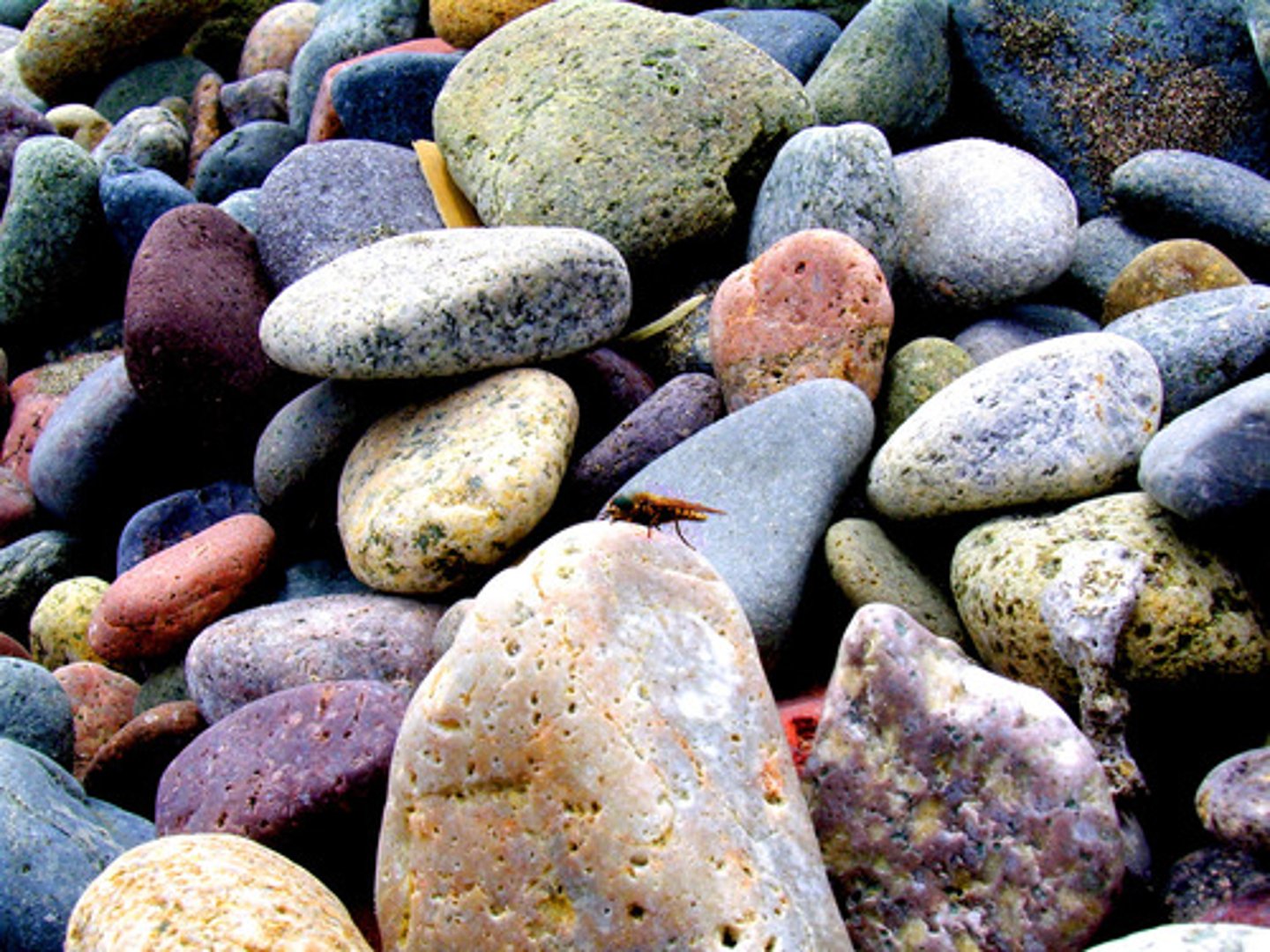 <p>rocks</p>