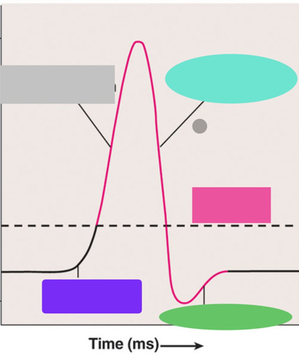 <p>Purple box</p>