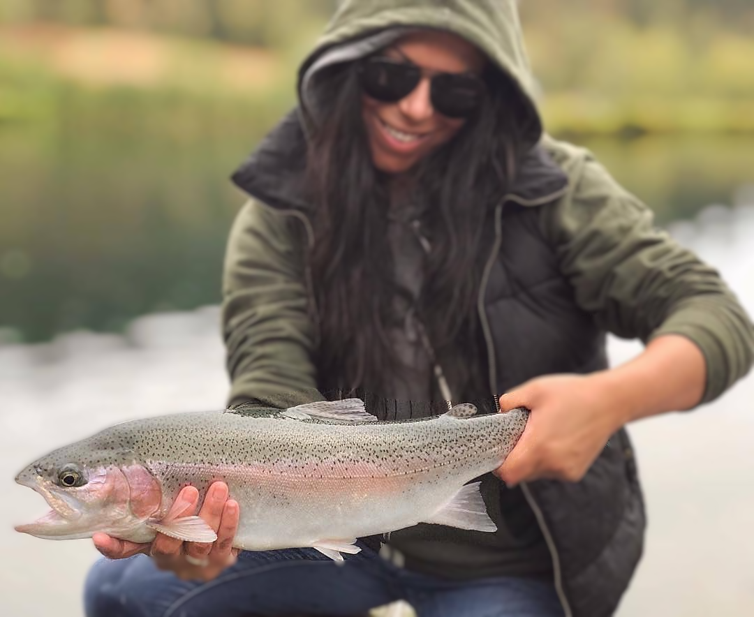 <p>Rainbow Trout</p><p><span style="color: rgb(69, 68, 68);"><em><span>Introduced, from the west coast.</span></em></span></p>