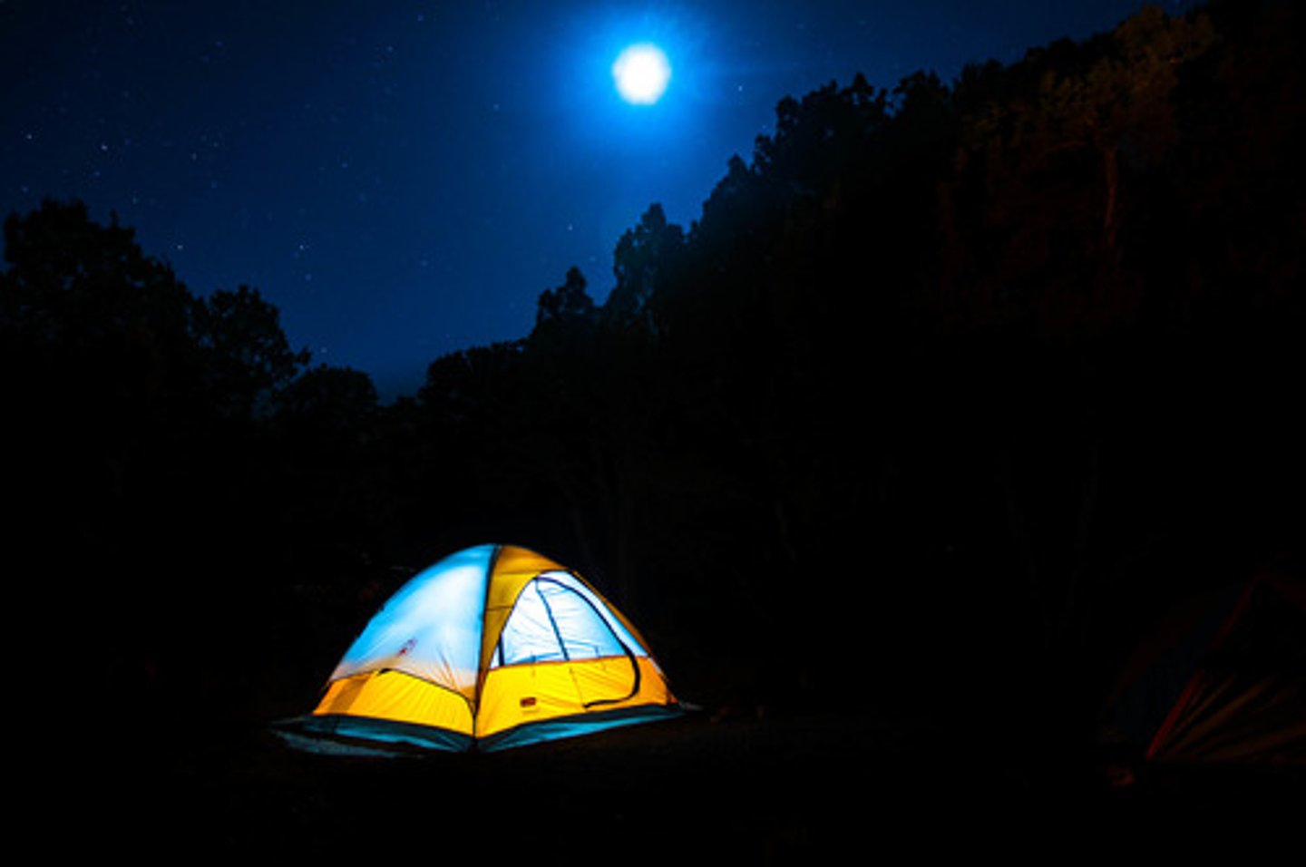 <p>to go camping</p>