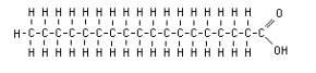 <p>Name this structure</p><p></p>