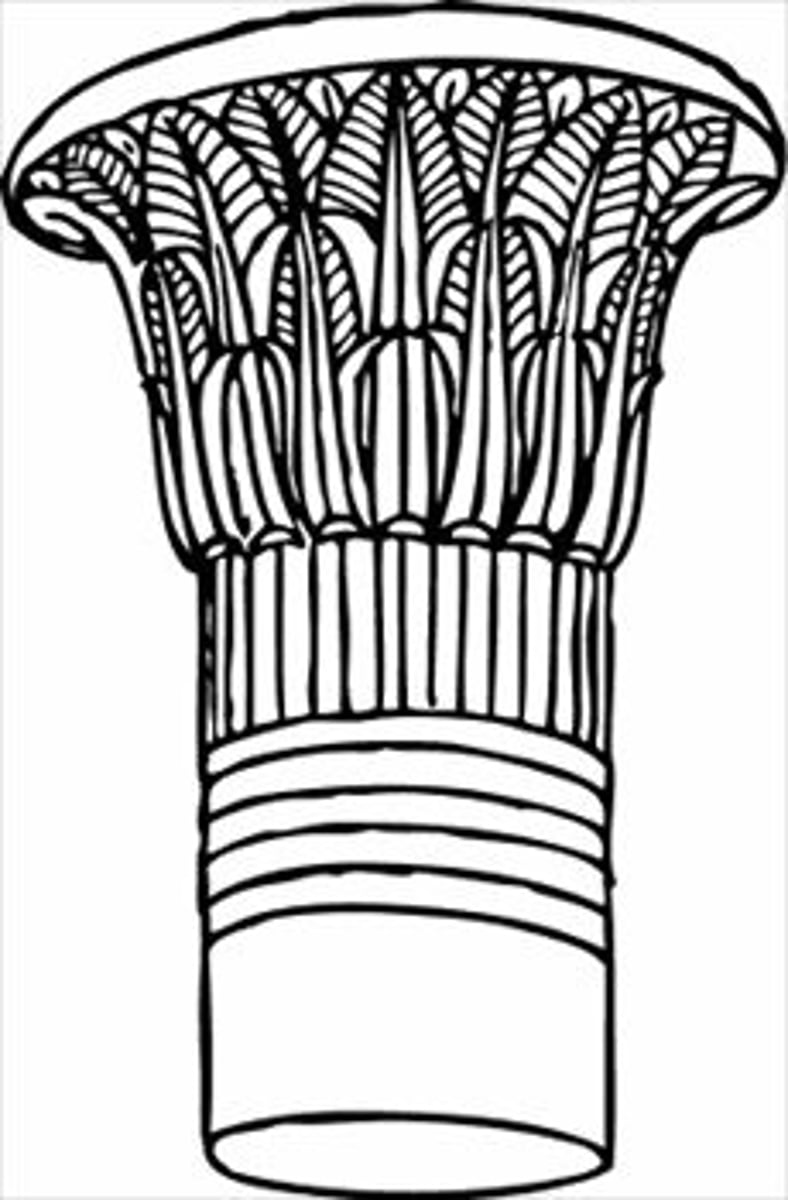 <p>What is this type of capital?</p>