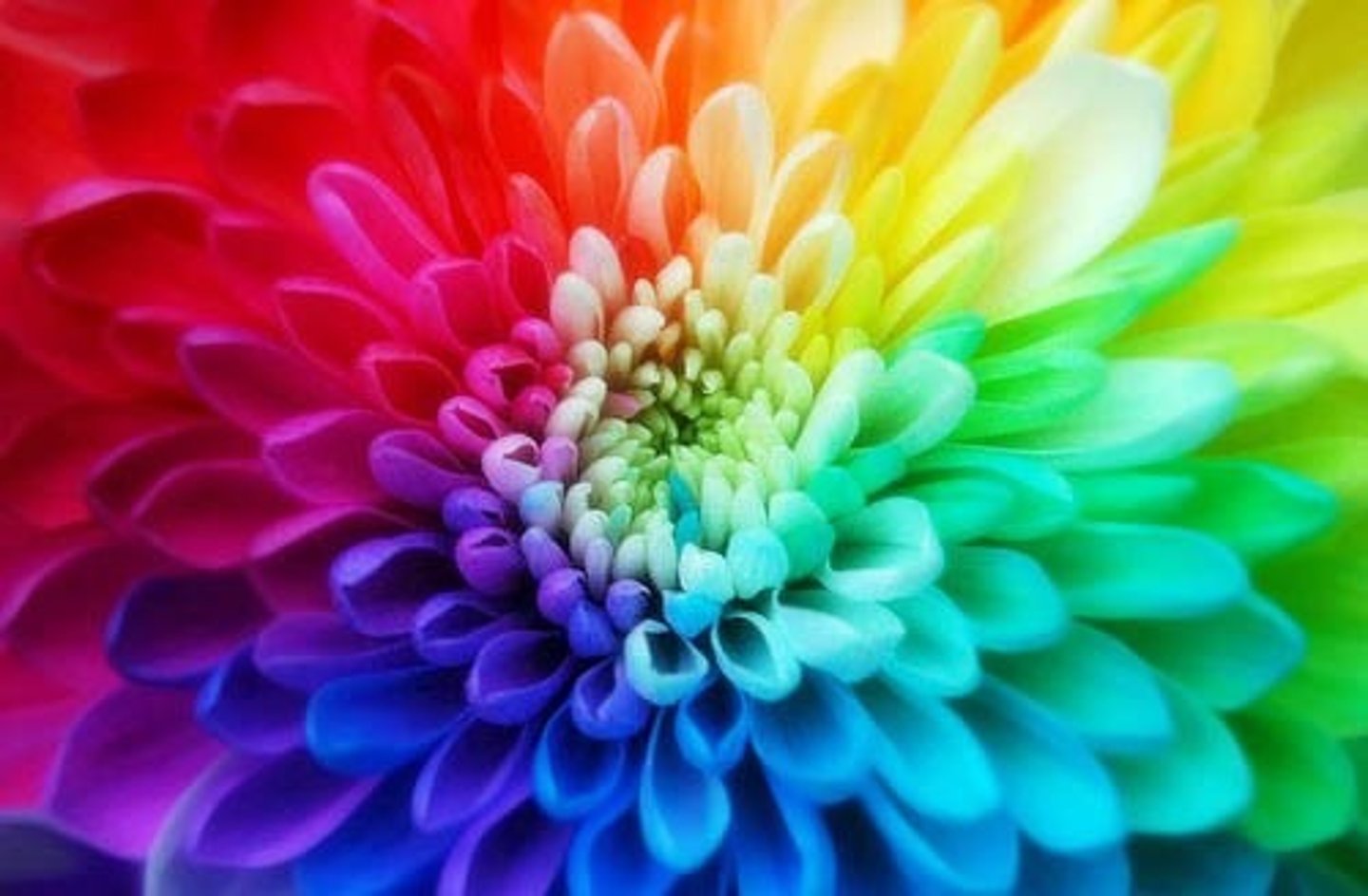 <p>relating to color</p>