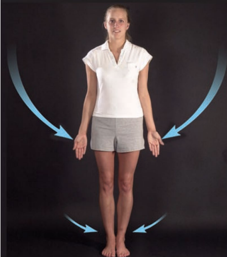 <p>moving towards the body (part)</p>