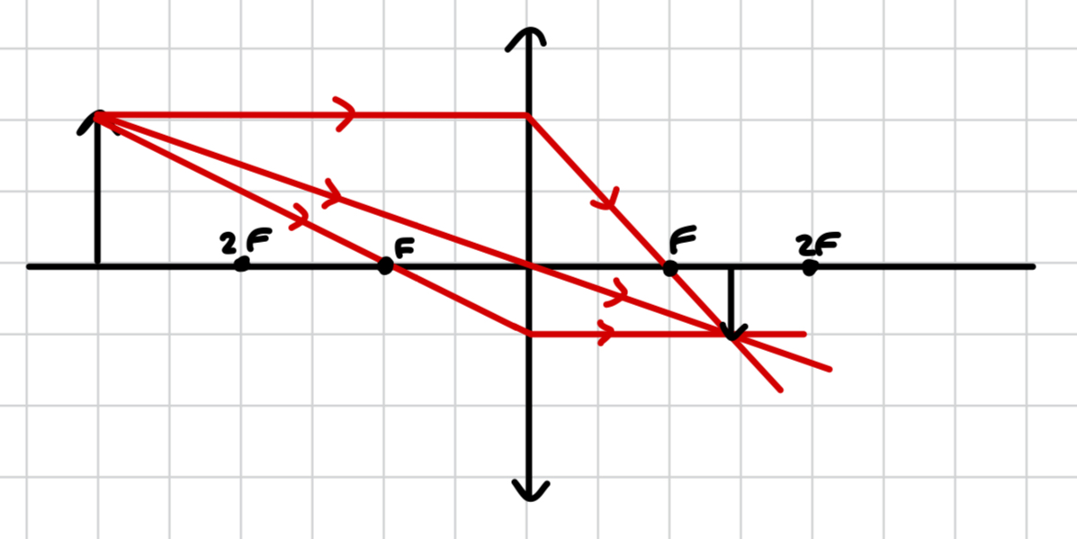 <ul><li><p>F &lt; image &lt; 2F</p></li></ul><ul><li><p>real, inverted, diminished</p></li></ul>