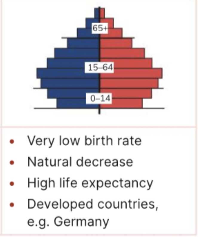 <p>What type of population pyramid is this</p>