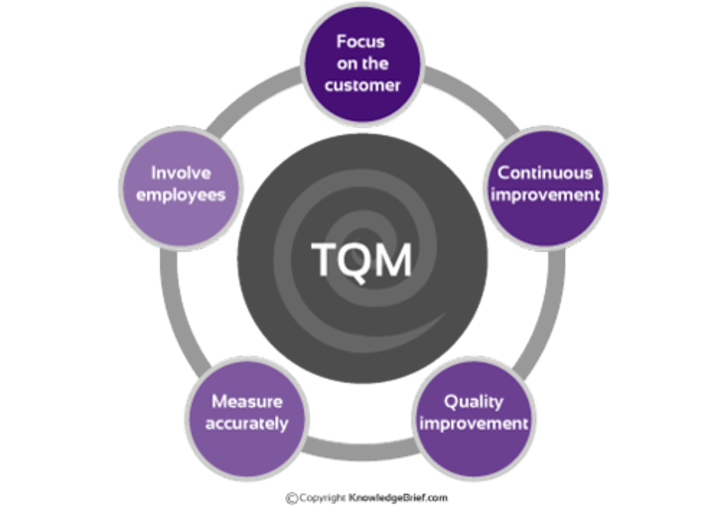 <p>an ongoing, business-wide commitment to excellence that is applied to every aspect of the business's operation</p>