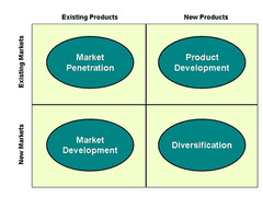 <p>Helps a business set objectives and plan growth strategies. Looks at growth potential in terms of the market and product.</p>