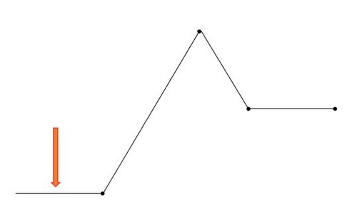 <p>the necessary background information for understanding a story. It introduces the setting, the characters, and the basic situation. It is the first part of the plot.</p>