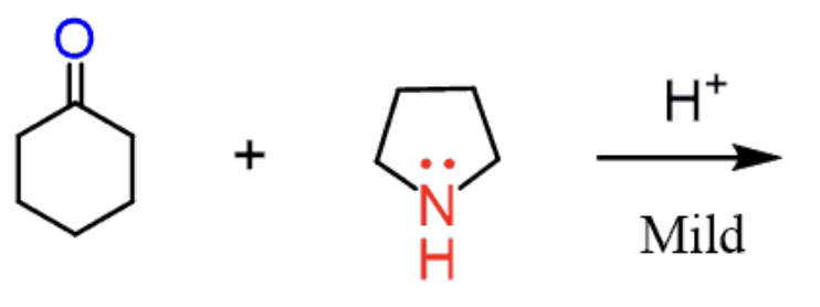 <p>1) 2° amine 2) Enone / 3) H<sub>3</sub>O<sub><sup>+</sup></sub></p>