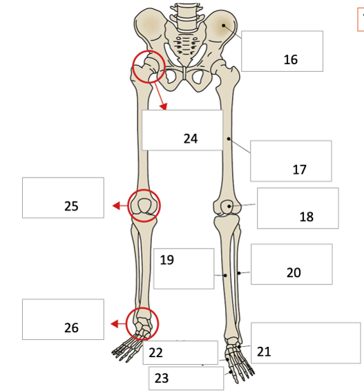 <p>21</p>