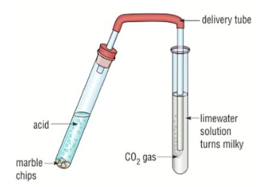 <p>Test for CO2</p>