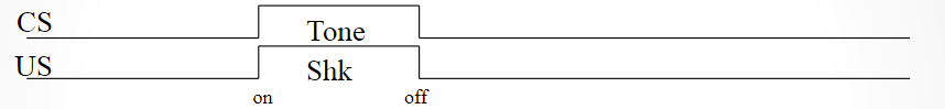 <p>-CS and US at the same time</p><p>-results in poor learning, CS has no predictive value</p>