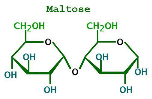 <p>is maltose a reducing sugar?</p>