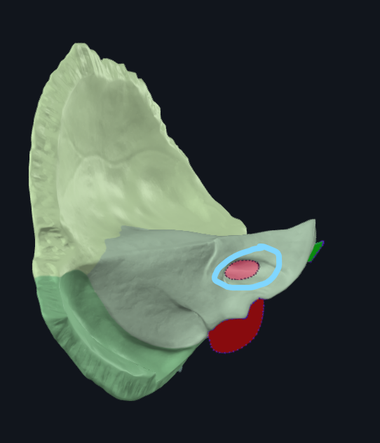 <p>What is circled</p>