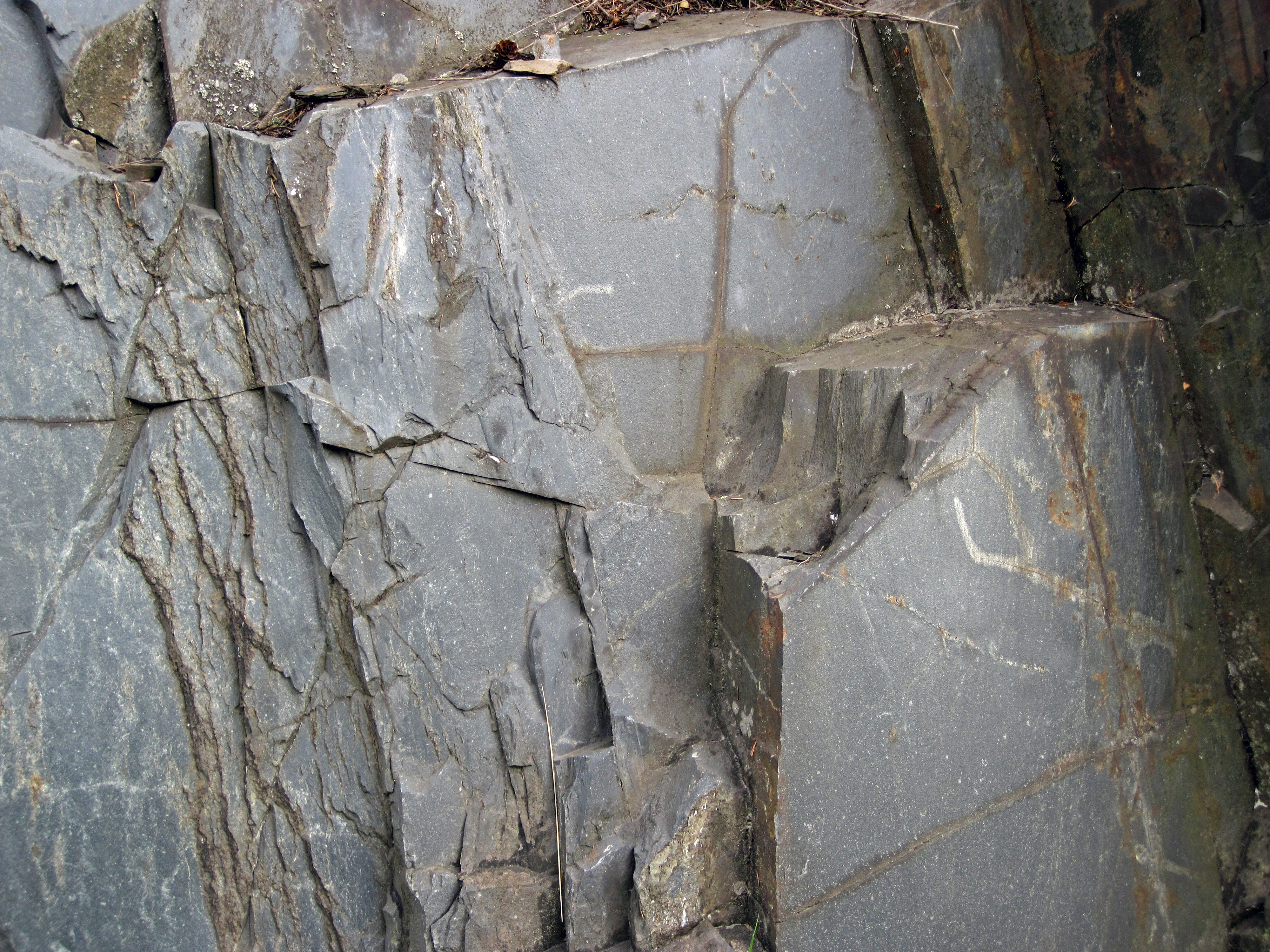 <p>Identify the metamorphic rock</p>