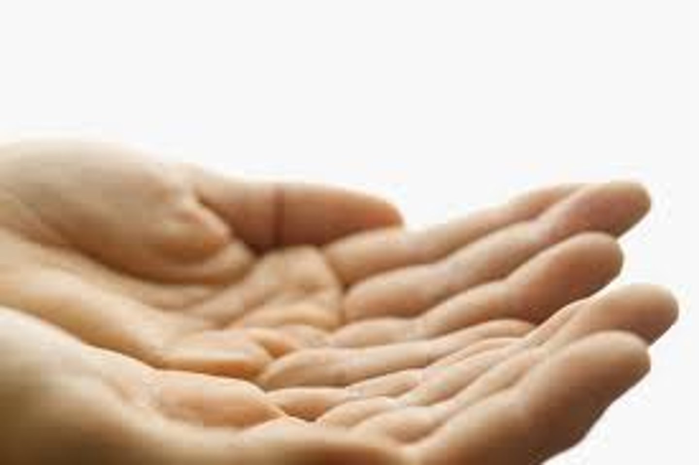 <p>I accepted, received</p>