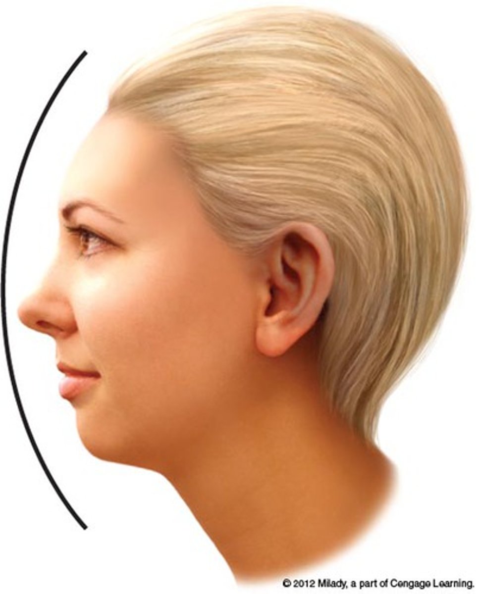 <p>an outline of something, especially a person's face, as seen from one side</p>