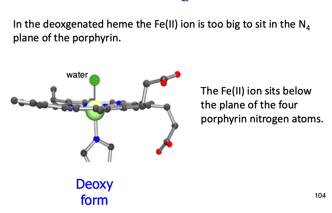 <p>Fe2+ sits out of place on the porphyrin ring as it isnāt being pulled into the plane by O2 binding.<br>When the porphyrin ring is deoxygenated, it is in a tense state, but once O2 binds it is in a relaxed state.<br><br>This relaxed state, along with Fe2+ shrinking (ionic atomic radius) once O2 binds, allows it to sit in allignment with the heme plane.</p>