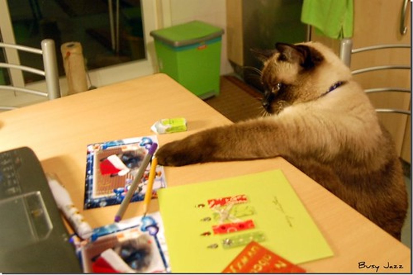 <p>busy</p>