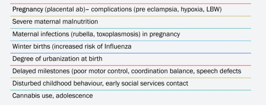 <p>Examples include maternal malnutrition and infections during pregnancy.</p>