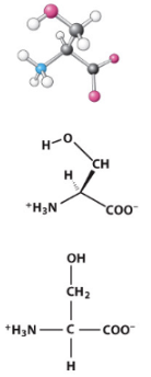 <p>Polar uncharged R-group. </p>