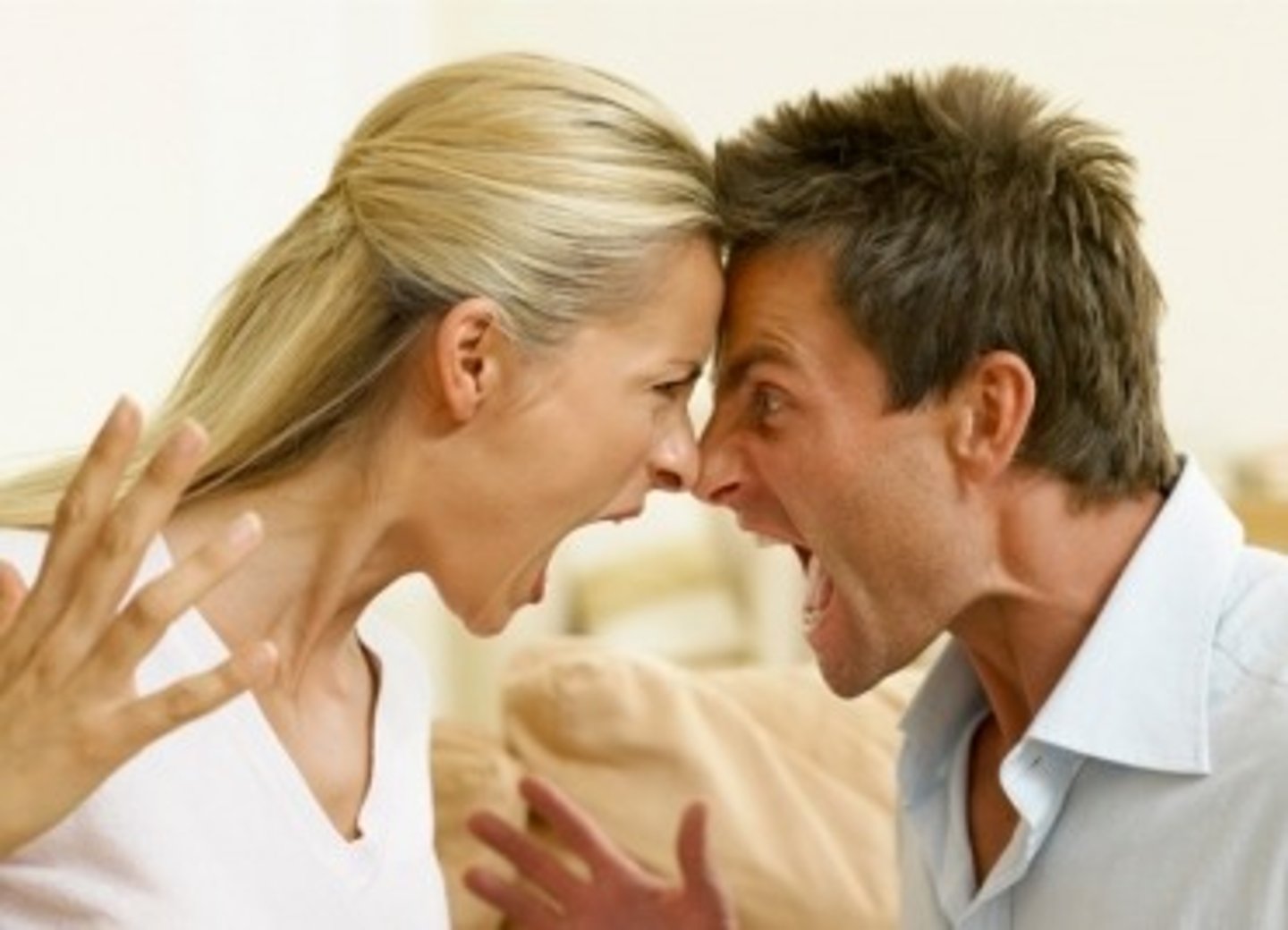 <p>conflict, dispute</p>