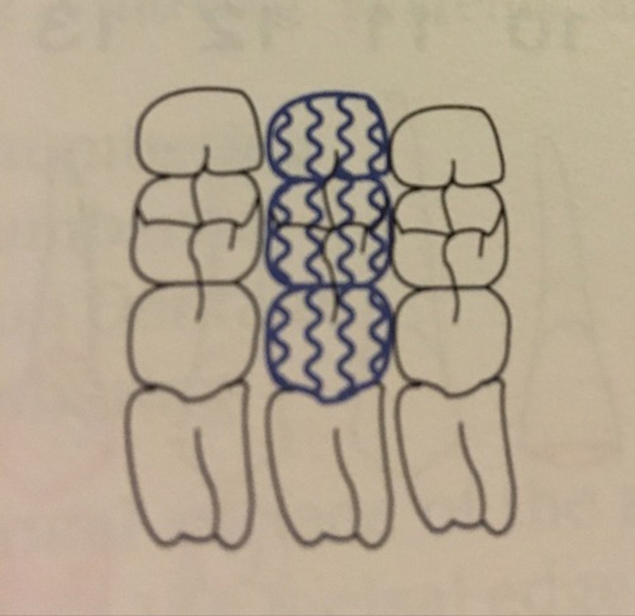 knowt flashcard image