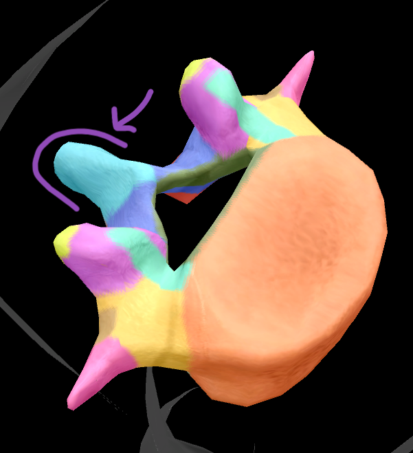 term image