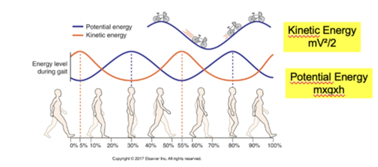 <p>mgh (related to height)</p>