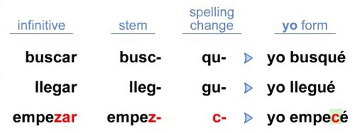 <p>They have a change in:the first person singular (yo form)</p>